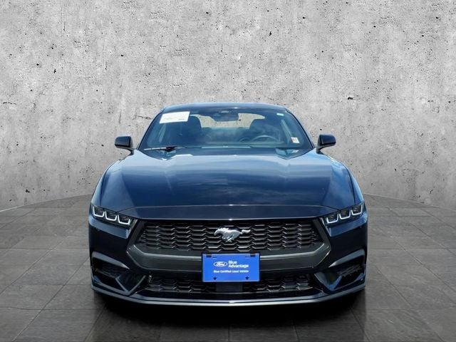 Used 2024 Ford Mustang EcoBoost Premium with VIN 1FA6P8TH9R5117605 for sale in Mankato, Minnesota