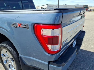2023 Ford F-150 Platinum