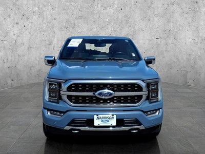 2023 Ford F-150 Platinum
