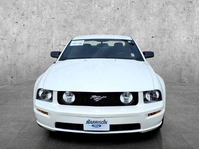 Used 2006 Ford Mustang GT Premium with VIN 1ZVFT82H765129543 for sale in Mankato, Minnesota